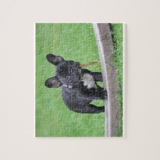 Franse Bulldog Puzzle Legpuzzel (Verticaal)