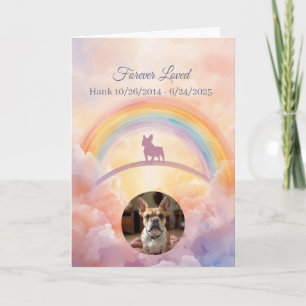 Franse Bulldog Rainbow Brug Huisdierverlies Condol Kaart
