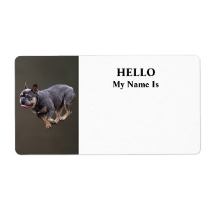 Franse Bulldog Rennend Etiket