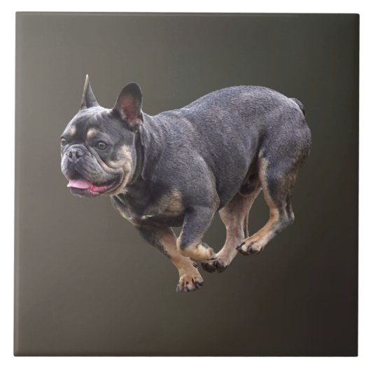 Franse Bulldog Rennend Tegeltje (Voorkant)