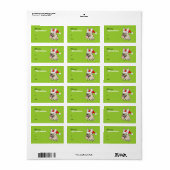 Franse Bulldog Santa Christmas Gift Label Stickers (Full Sheet)