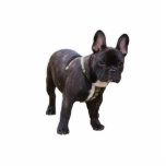 Franse Bulldog sculptuur, cadeauidee Staand Fotobeeldje<br><div class="desc">Kleine zwarte franse stierensculptuur,  geweldig cadeauidee voor hondenliefhebbers,  kinderen,  kinderen</div>