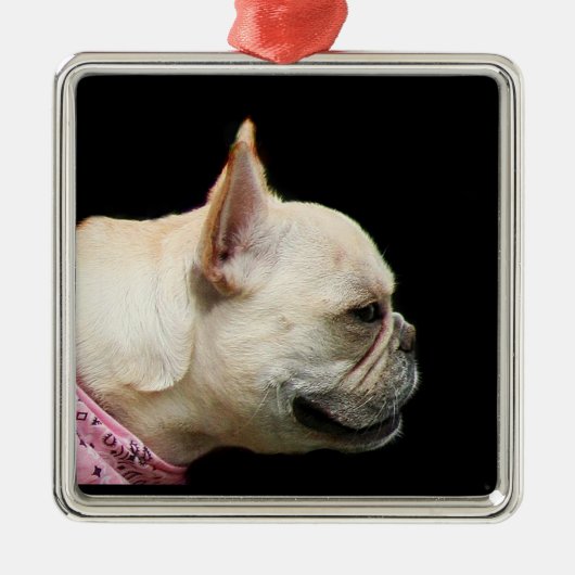 Franse Bulldog-sierplant Metalen Ornament (Voorkant)