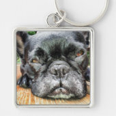 Franse Bulldog Sleutelhanger (Voorkant)