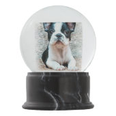 Franse Bulldog Sneeuwbol (Voorkant)