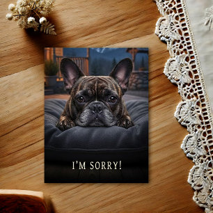 Franse Bulldog Sorry Ansichtkaart Briefkaart