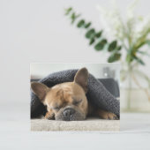 Franse Bulldog Sound Aslapen Briefkaart (Staand voorkant)