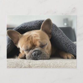 Franse Bulldog Sound Aslapen Briefkaart