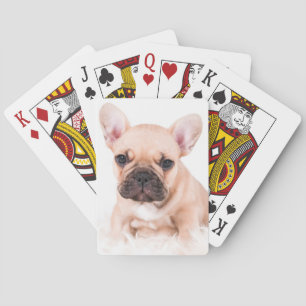 Franse Bulldog Speelkaarten