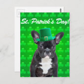 Franse Bulldog St Patrick's Day Briefkaart (Voorkant / Achterkant)
