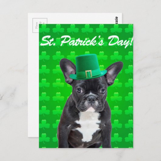 Franse Bulldog St Patrick's Day Briefkaart (Voorkant / Achterkant)
