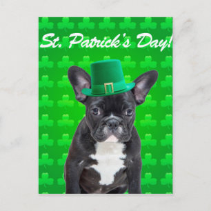 Franse Bulldog St Patrick's Day Briefkaart