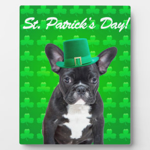 Franse Bulldog St Patrick's Day Fotoplaat