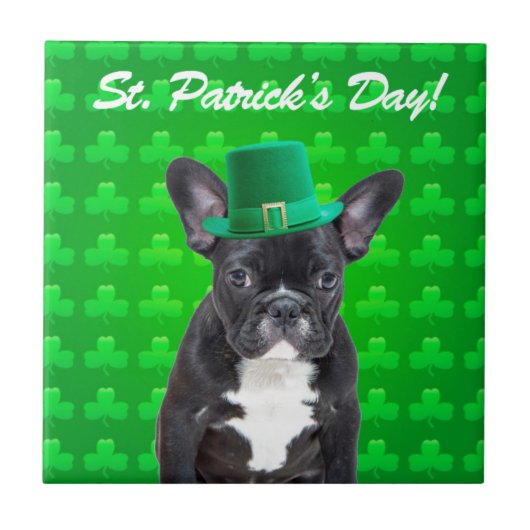 Franse Bulldog St Patrick's Day Tegeltje (Voorkant)