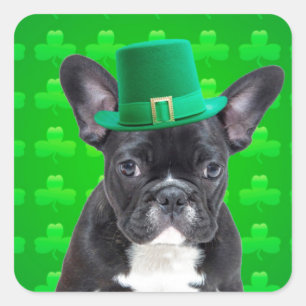 Franse Bulldog St Patrick's Day Vierkante Sticker
