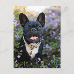 Franse Bulldog Stands in Flowers Briefkaart