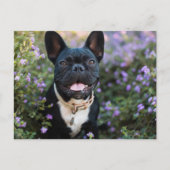 Franse Bulldog Stands in Flowers Briefkaart (Voorkant)