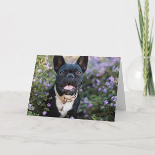 Franse Bulldog Stands in Flowers Kaart