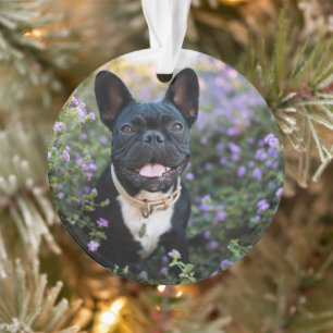 Franse Bulldog Stands in Flowers Ornament