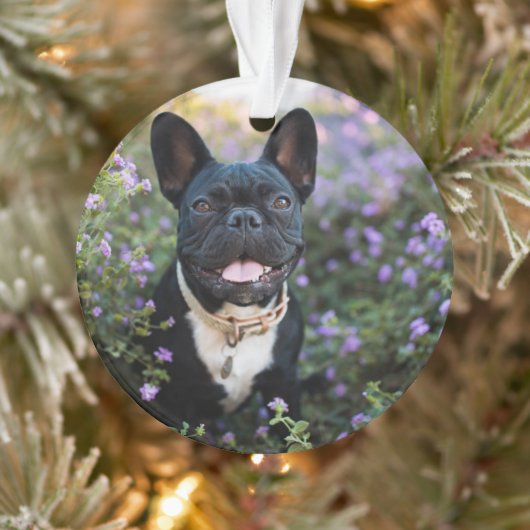 Franse Bulldog Stands in Flowers Ornament (Boom)