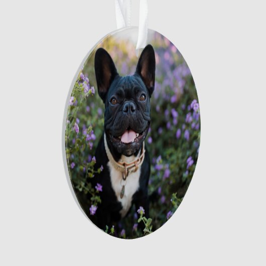 Franse Bulldog Stands in Flowers Ornament (voorkant)