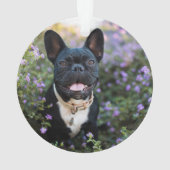 Franse Bulldog Stands in Flowers Ornament (achterkant)