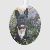 Franse Bulldog Stands in Flowers Ornament (voorkant)