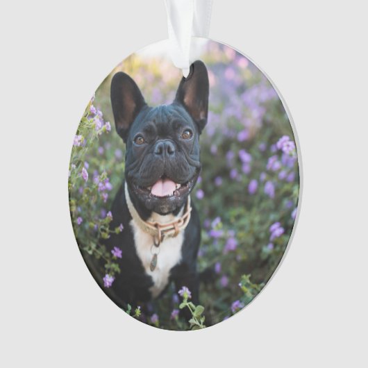 Franse Bulldog Stands in Flowers Ornament (voorkant)