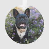 Franse Bulldog Stands in Flowers Ornament (voorkant)