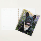 Franse Bulldog Stands in Flowers Planner (Display)