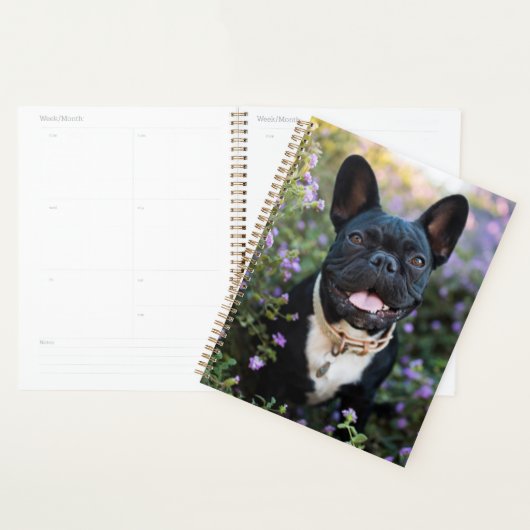 Franse Bulldog Stands in Flowers Planner (Display)