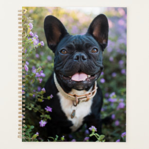Franse Bulldog Stands in Flowers Planner