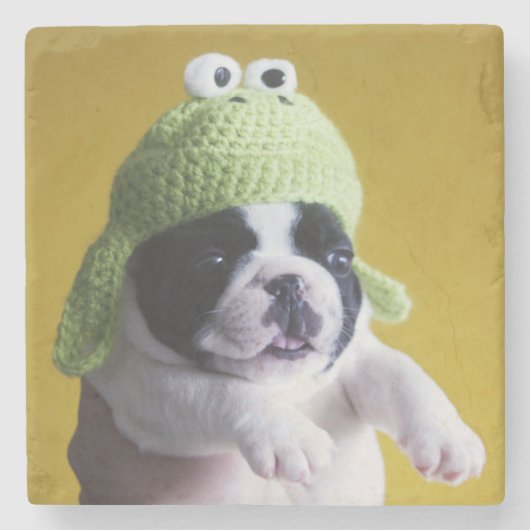 Franse Bulldog Stenen Onderzetter (Voorkant)
