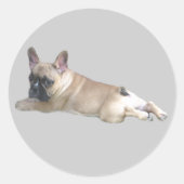 Franse Bulldog Sticker (Voorkant)