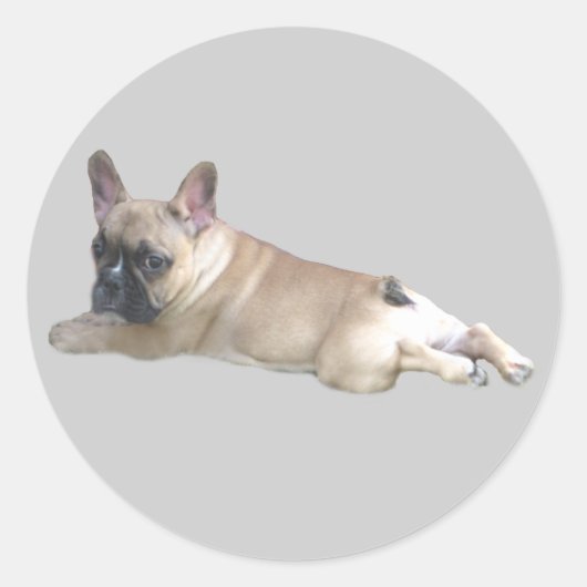 Franse Bulldog Sticker (Voorkant)