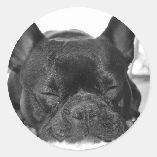 Franse Bulldog Sticker (Voorkant)