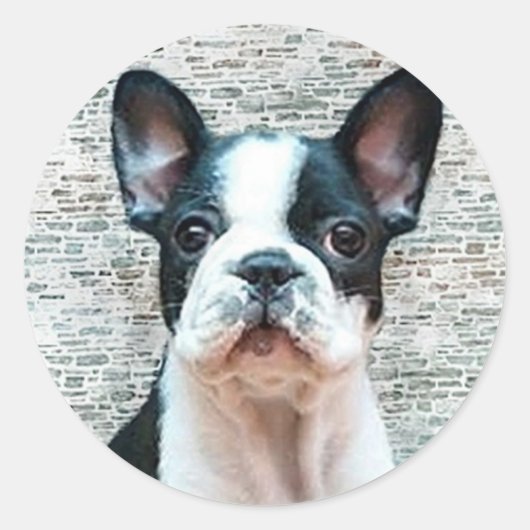 Franse Bulldog stickers (Voorkant)