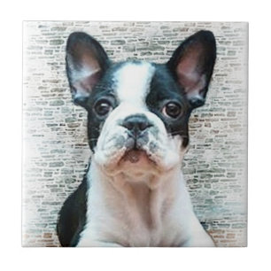 Franse Bulldog Tile Tegeltje