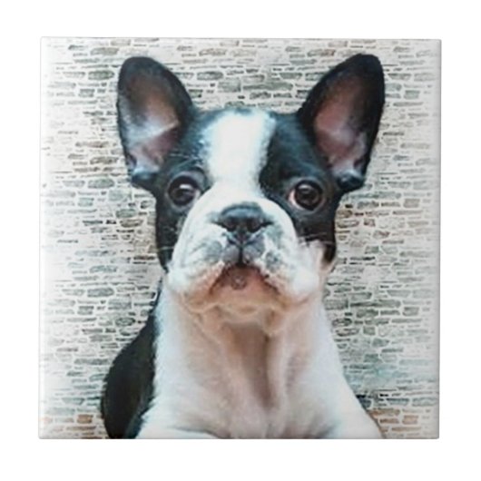 Franse Bulldog Tile Tegeltje (Voorkant)