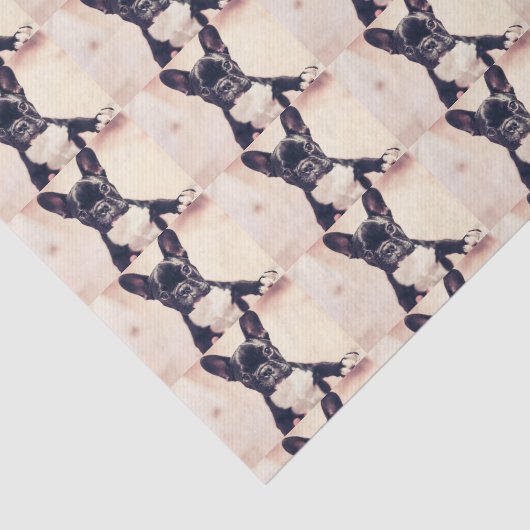 Franse Bulldog Tissuepapier (Detail)