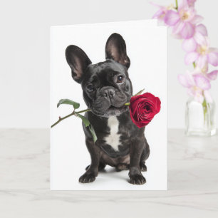 Franse Bulldog Valentijn – Grote Liefde, Zoete Cha Kaart