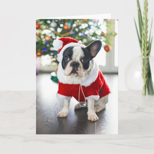 Franse Bulldog verkleed in Santa-kostuum Feestdagen Kaart (Voorkant)