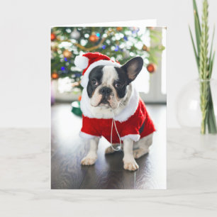 Franse Bulldog verkleed in Santa-kostuum Feestdagen Kaart