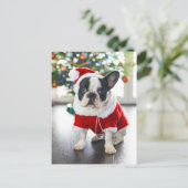 Franse Bulldog verkleed in Santa-kostuum Feestdagenkaart (Staand voorkant)