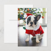 Franse Bulldog verkleed in Santa-kostuum Feestdagenkaart (Voorkant / Achterkant)