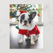 Franse Bulldog verkleed in Santa-kostuum Feestdagenkaart (Voorkant)