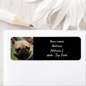 Franse Bulldog verzendlabels Etiket (Insitu)