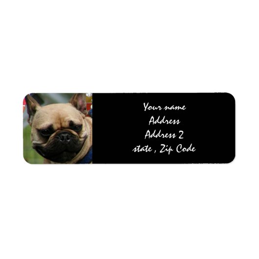 Franse Bulldog verzendlabels Etiket (Voorkant)