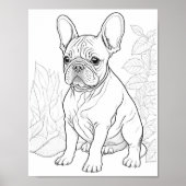 Franse Bulldog volwassen kleuring Poster (Voorkant)