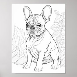 Franse Bulldog volwassen kleuring Poster